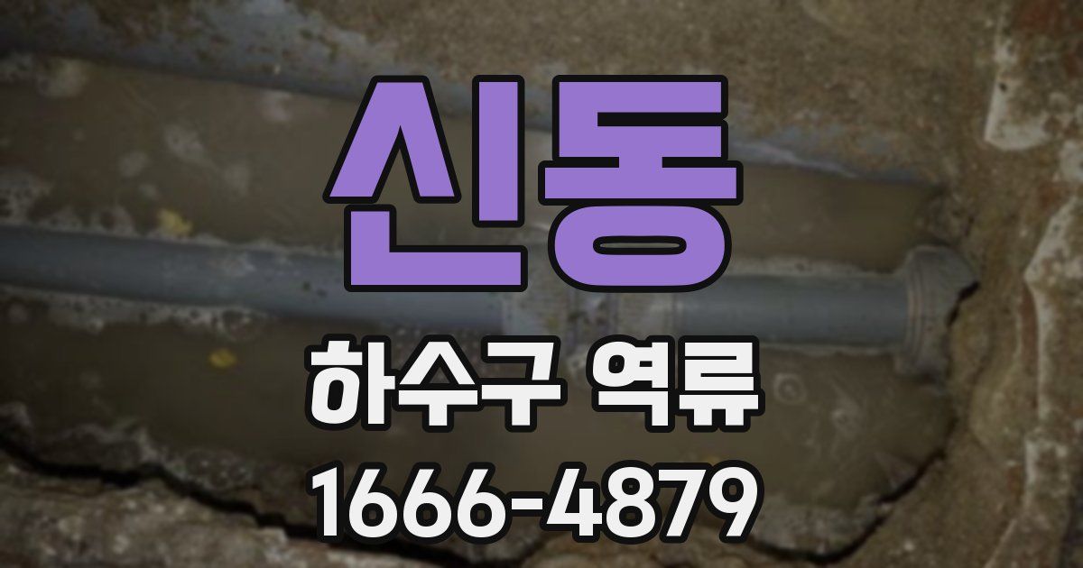 신동 하수구 역류