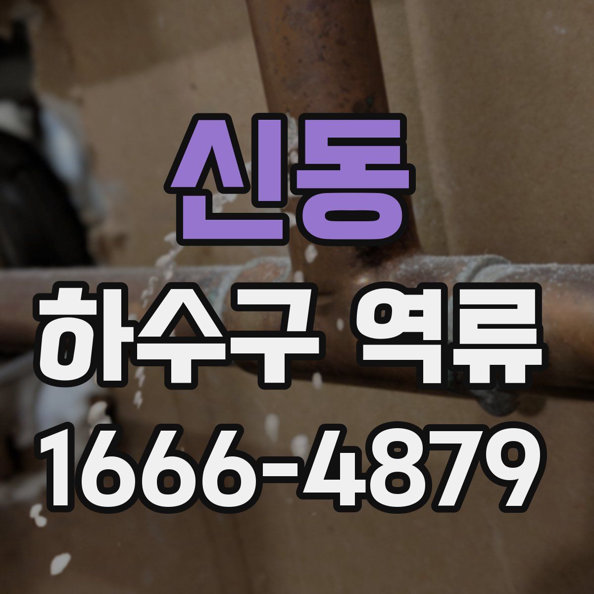 신동 하수구 역류