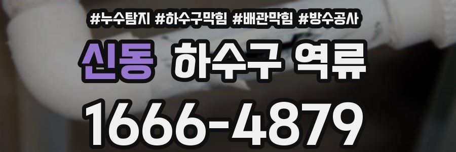 신동 하수구 역류