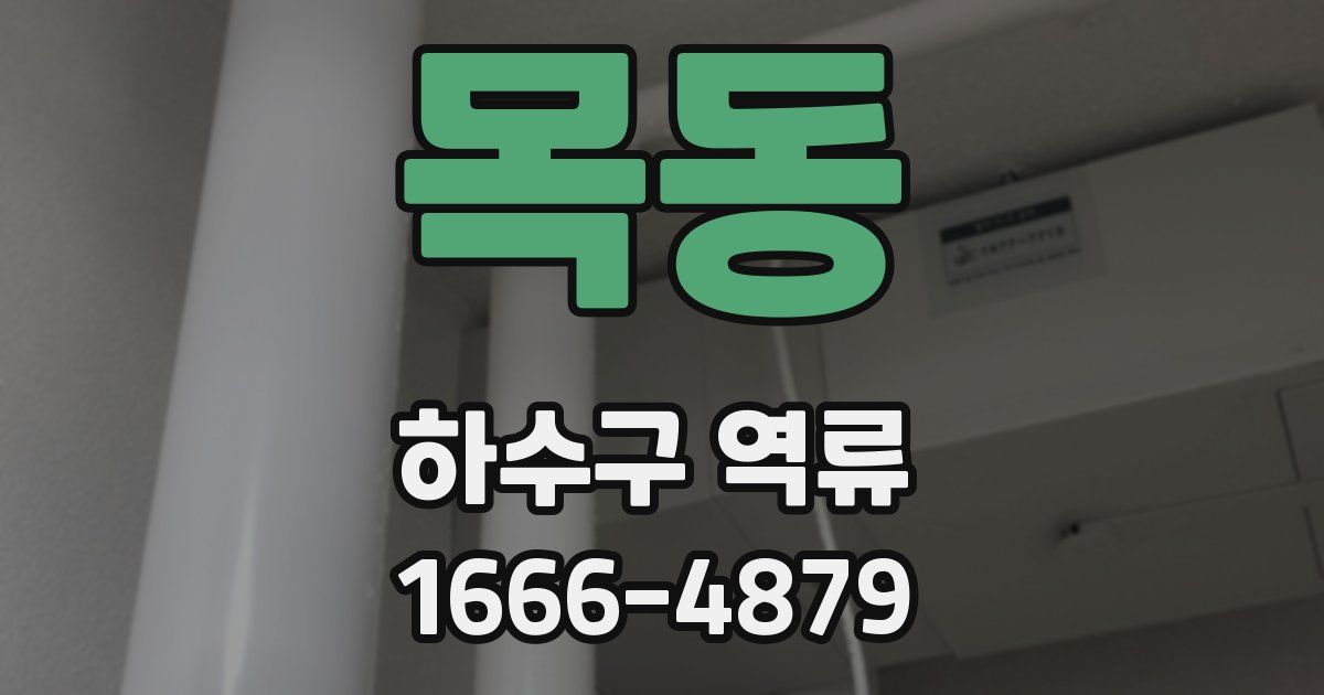 목동 하수구 역류