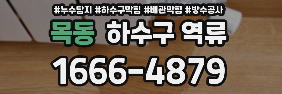 목동 하수구 역류