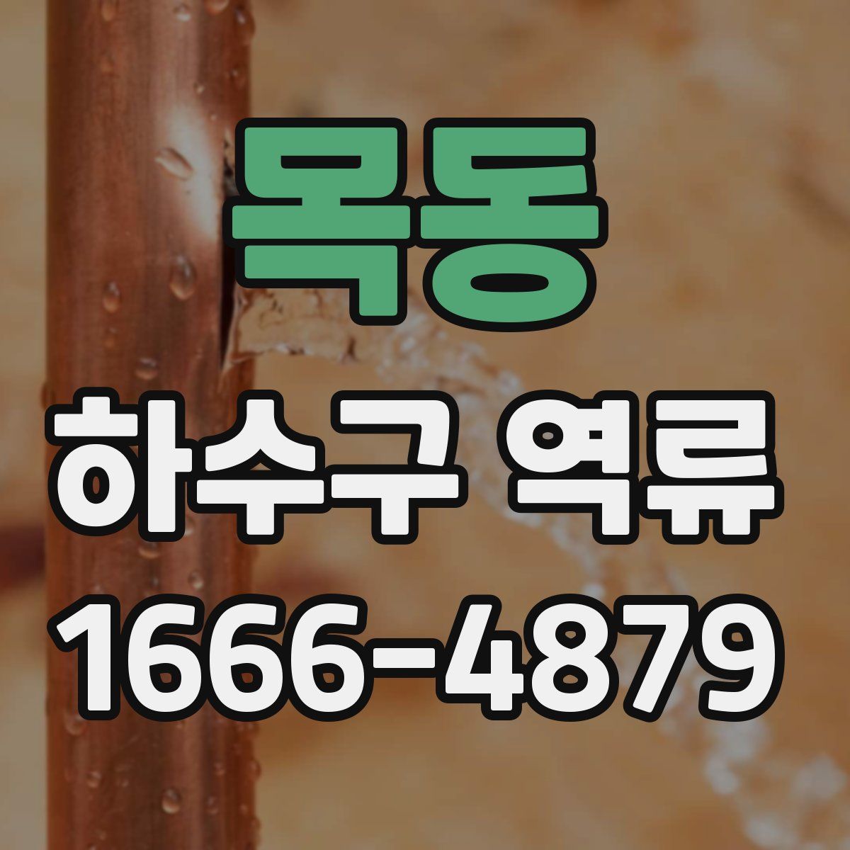 목동 하수구 역류