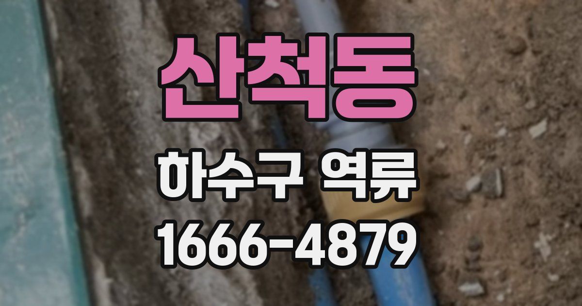 산척동 하수구 역류