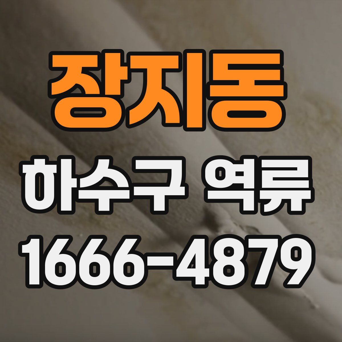 장지동 하수구 역류