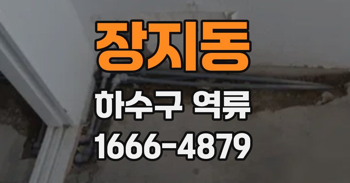 장지동 하수구 역류
