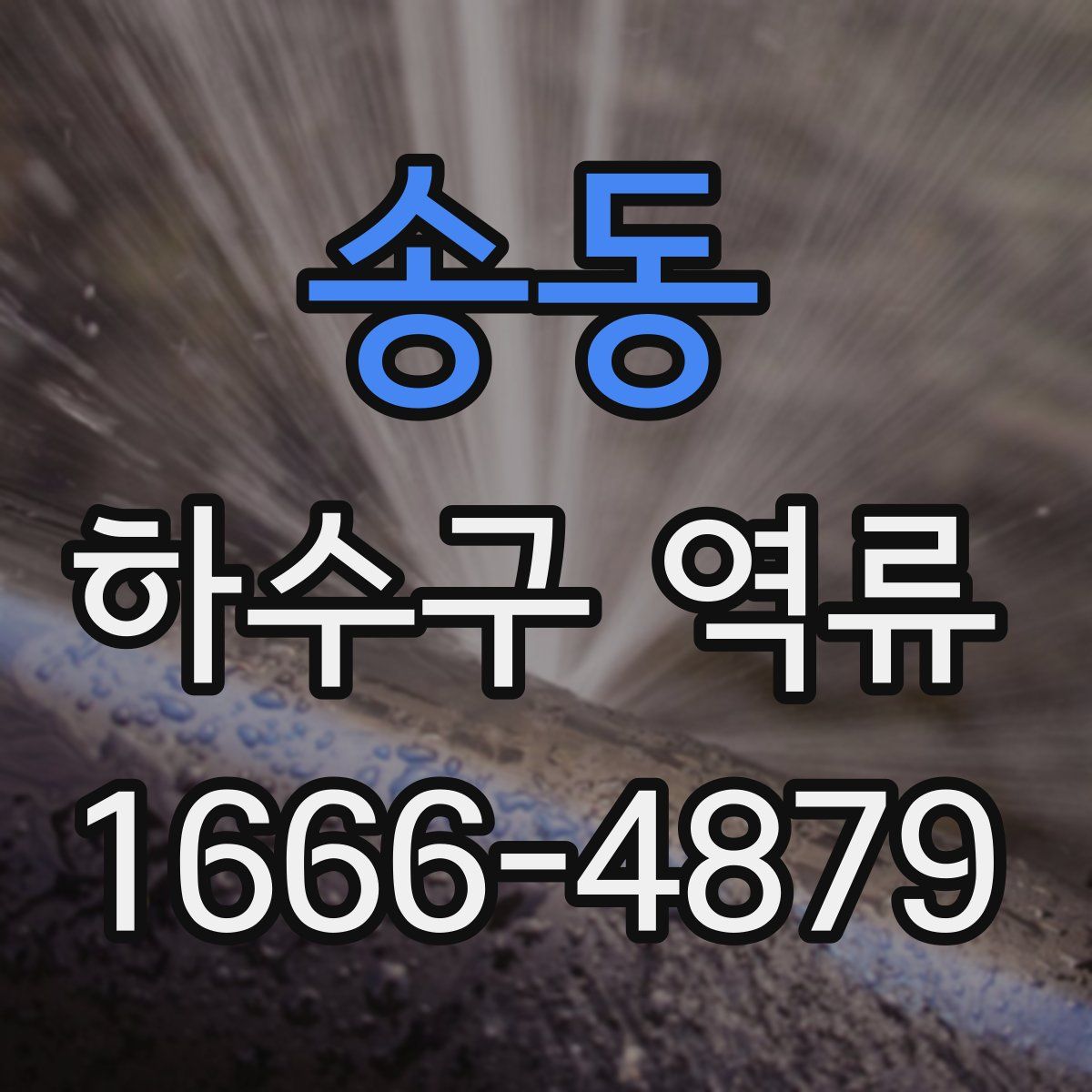 송동 하수구 역류