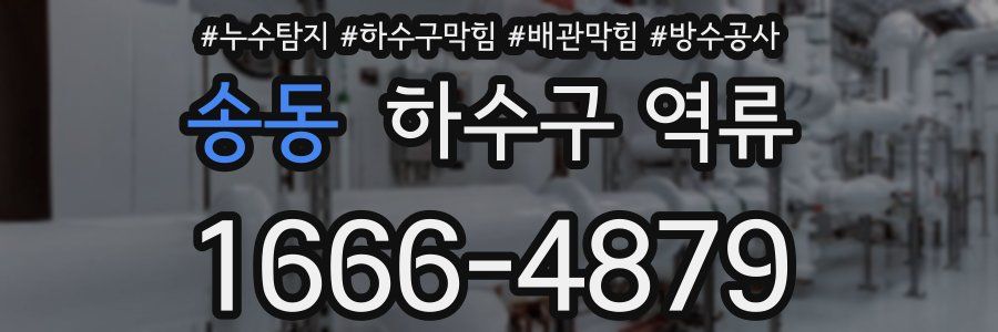 송동 하수구 역류