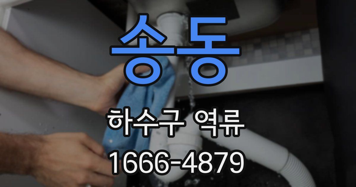 송동 하수구 역류