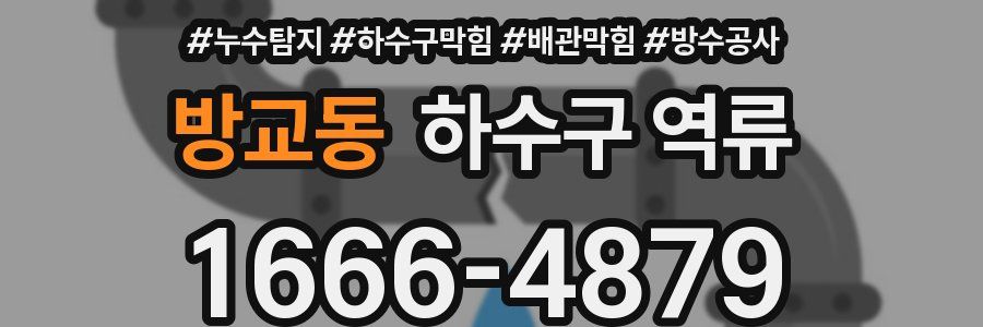 방교동 하수구 역류