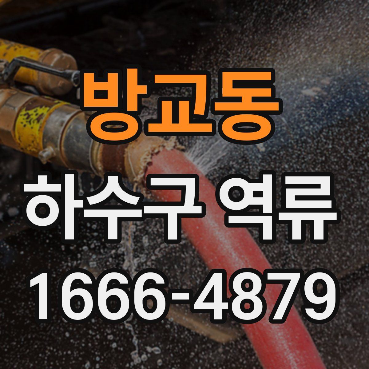 방교동 하수구 역류