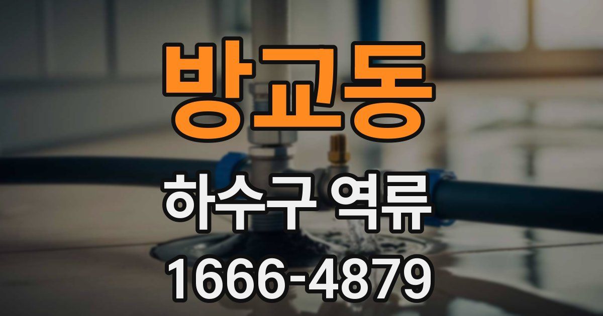 방교동 하수구 역류