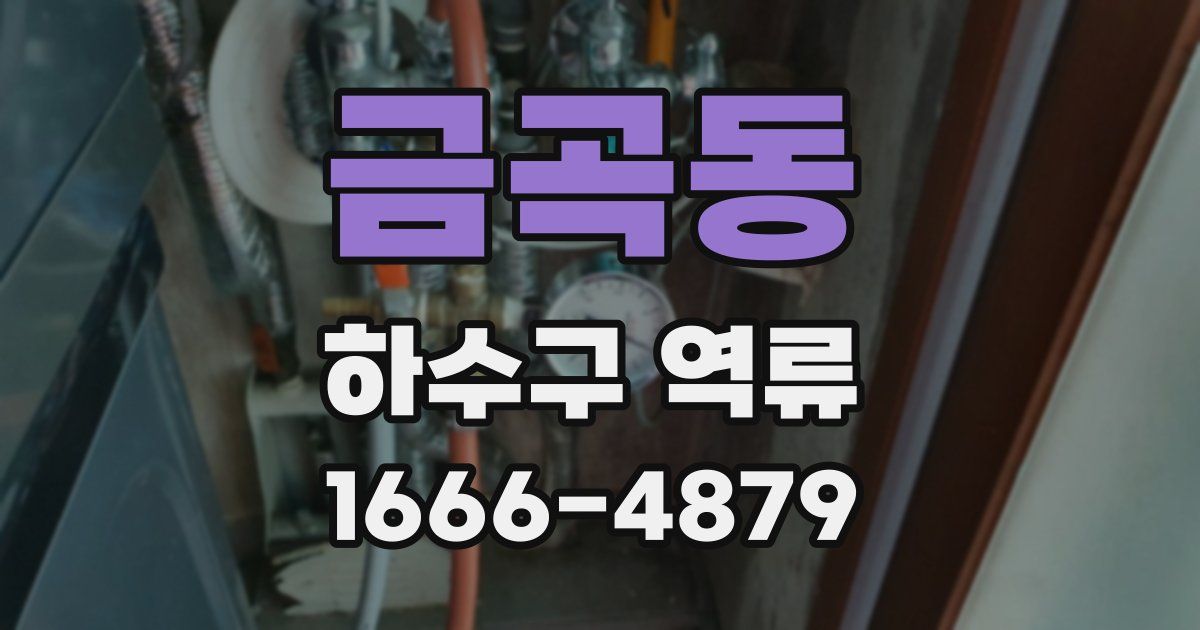 금곡동 하수구 역류