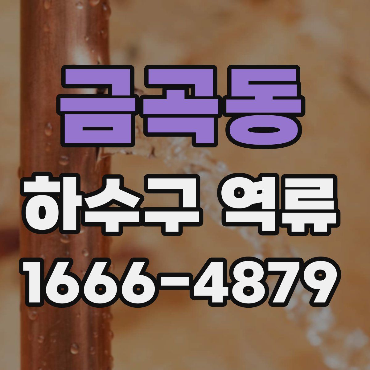 금곡동 하수구 역류