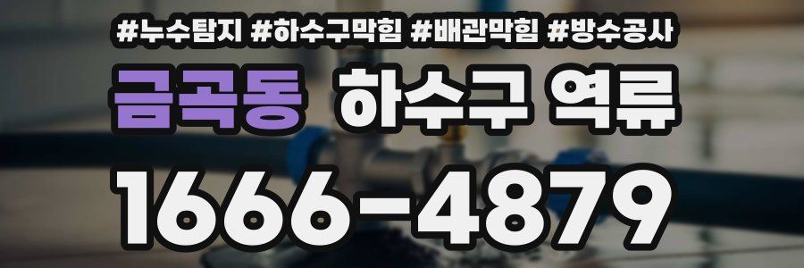 금곡동 하수구 역류