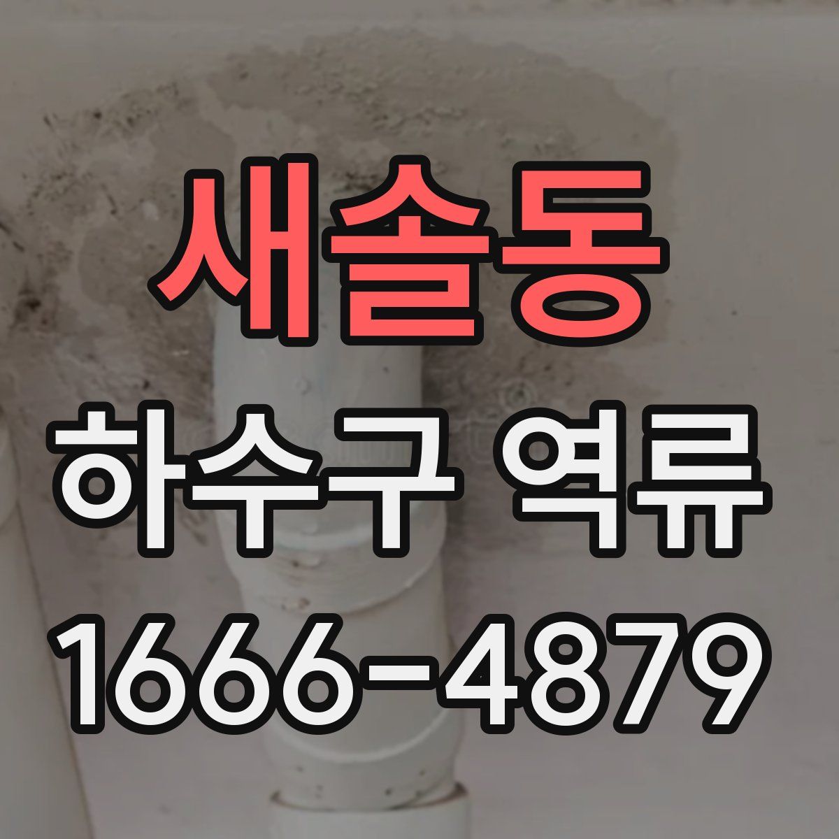 새솔동 하수구 역류