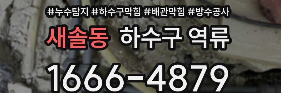 새솔동 하수구 역류