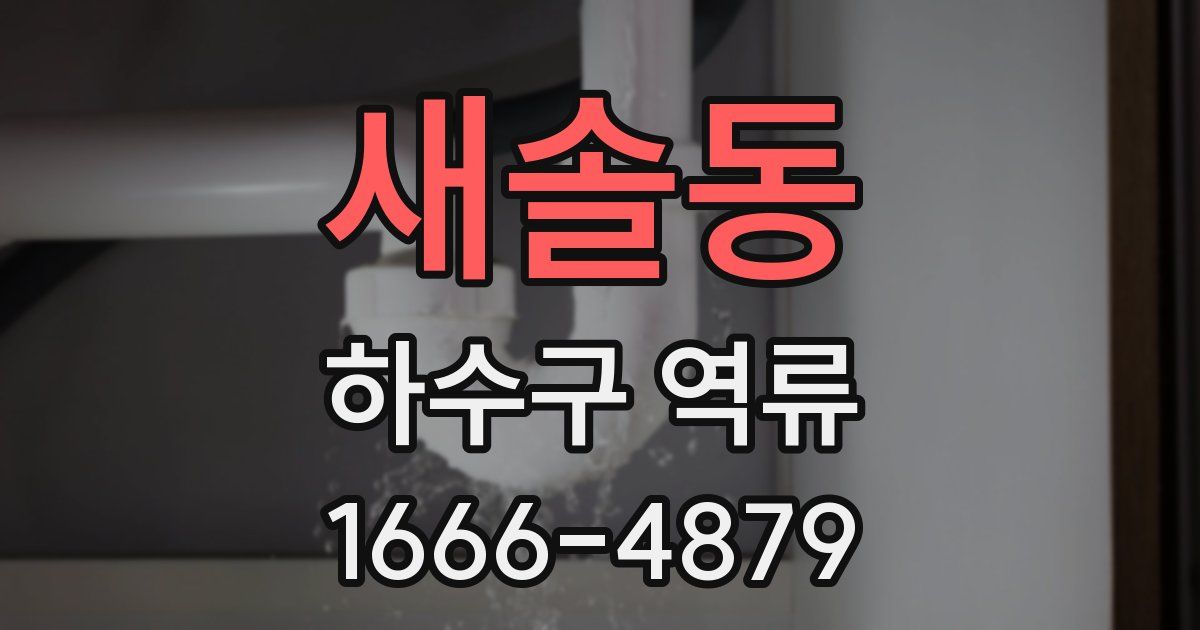 새솔동 하수구 역류