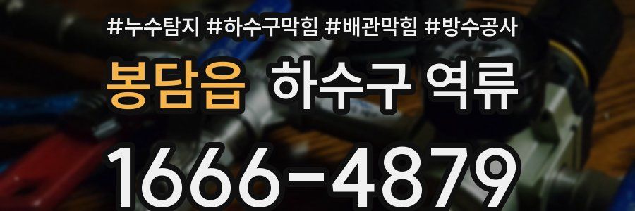 봉담읍 하수구 역류