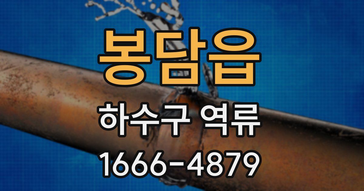 봉담읍 하수구 역류