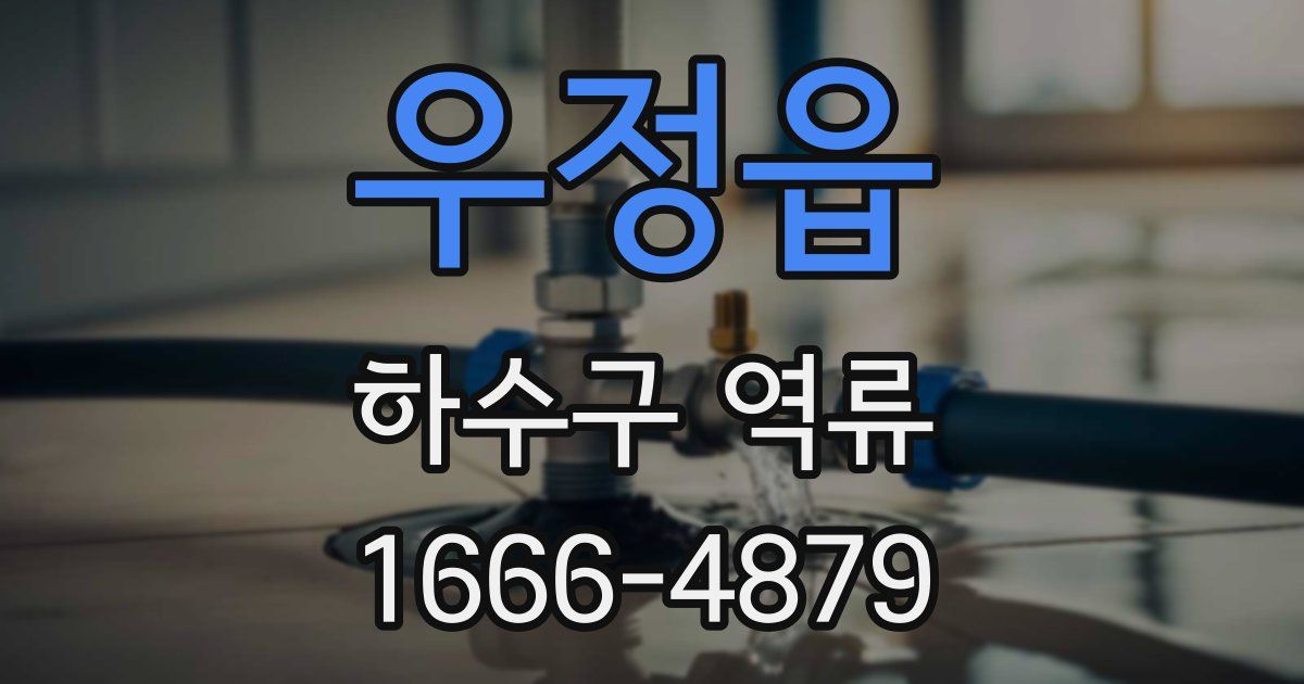 우정읍 하수구 역류