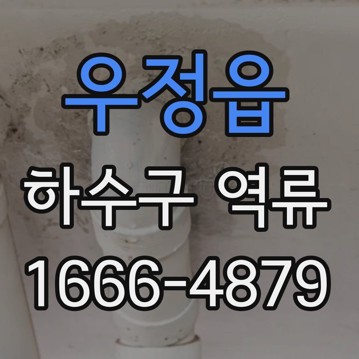 우정읍 하수구 역류
