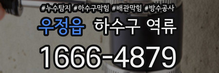 우정읍 하수구 역류