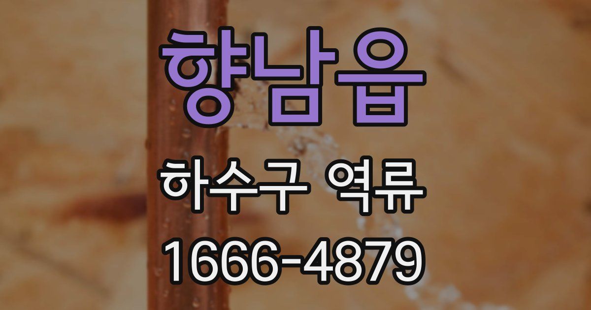 향남읍 하수구 역류