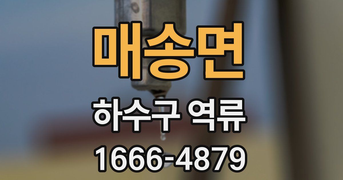 매송면 하수구 역류