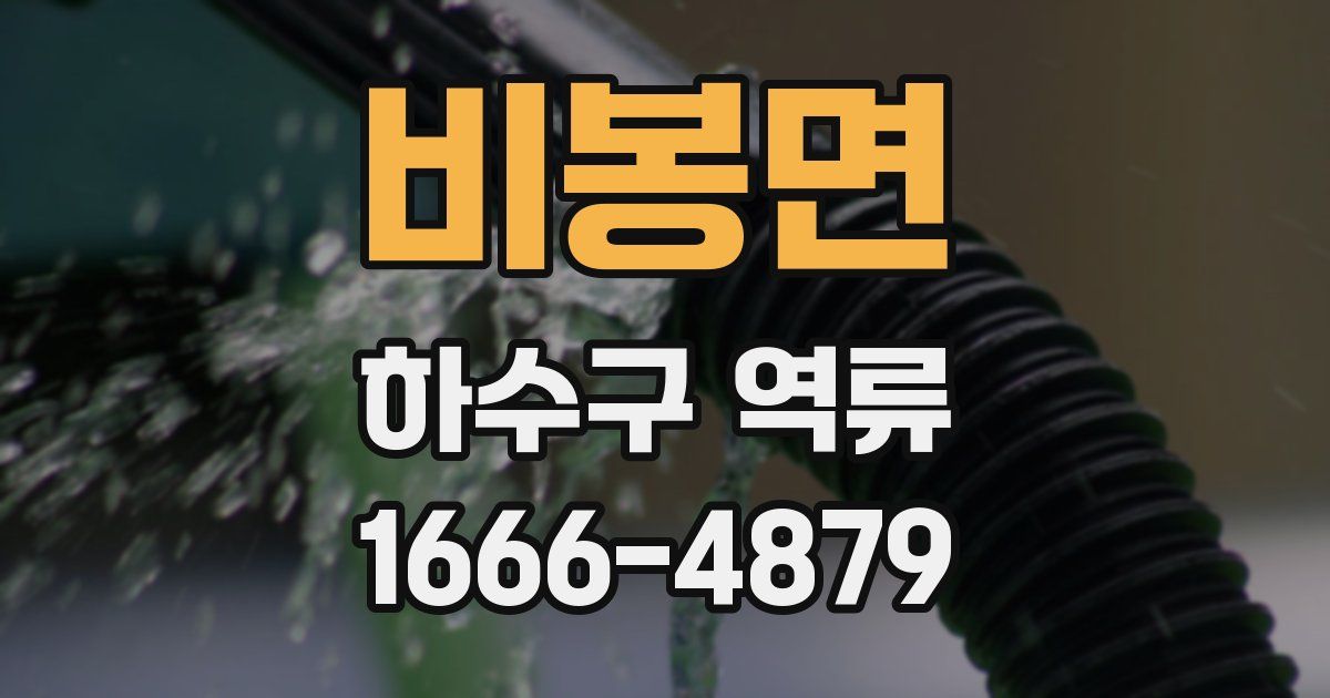비봉면 하수구 역류