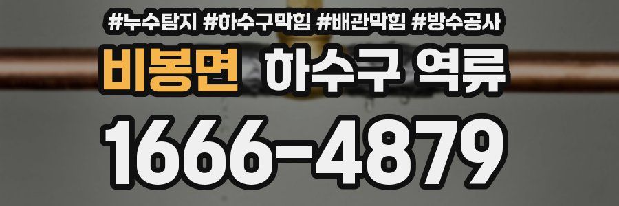 비봉면 하수구 역류
