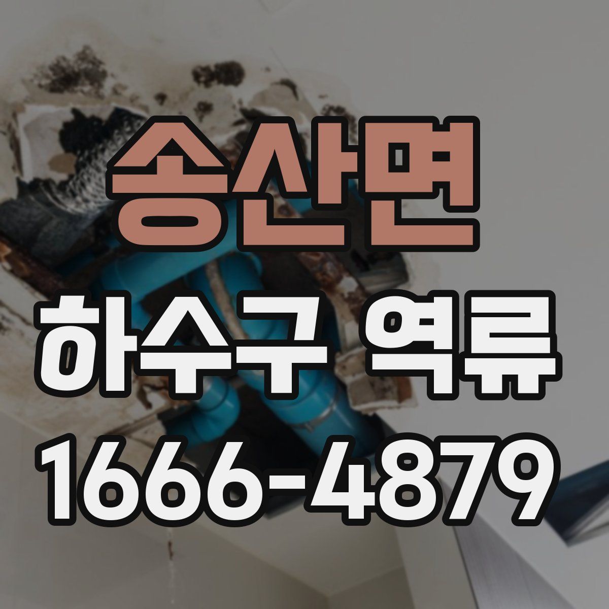 송산면 하수구 역류