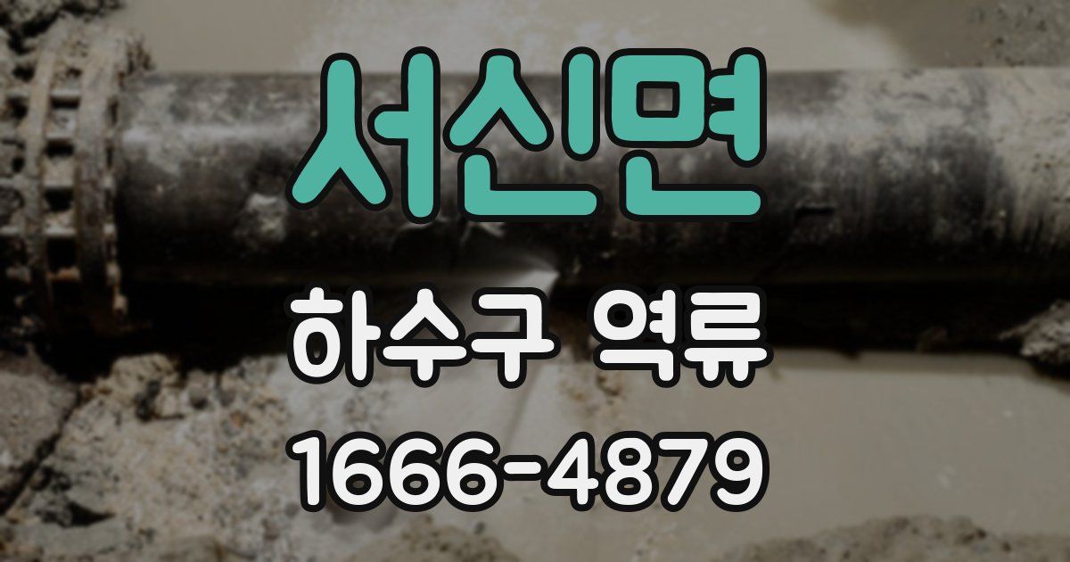 서신면 하수구 역류