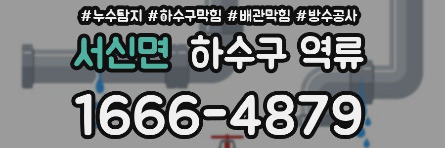 서신면 하수구 역류