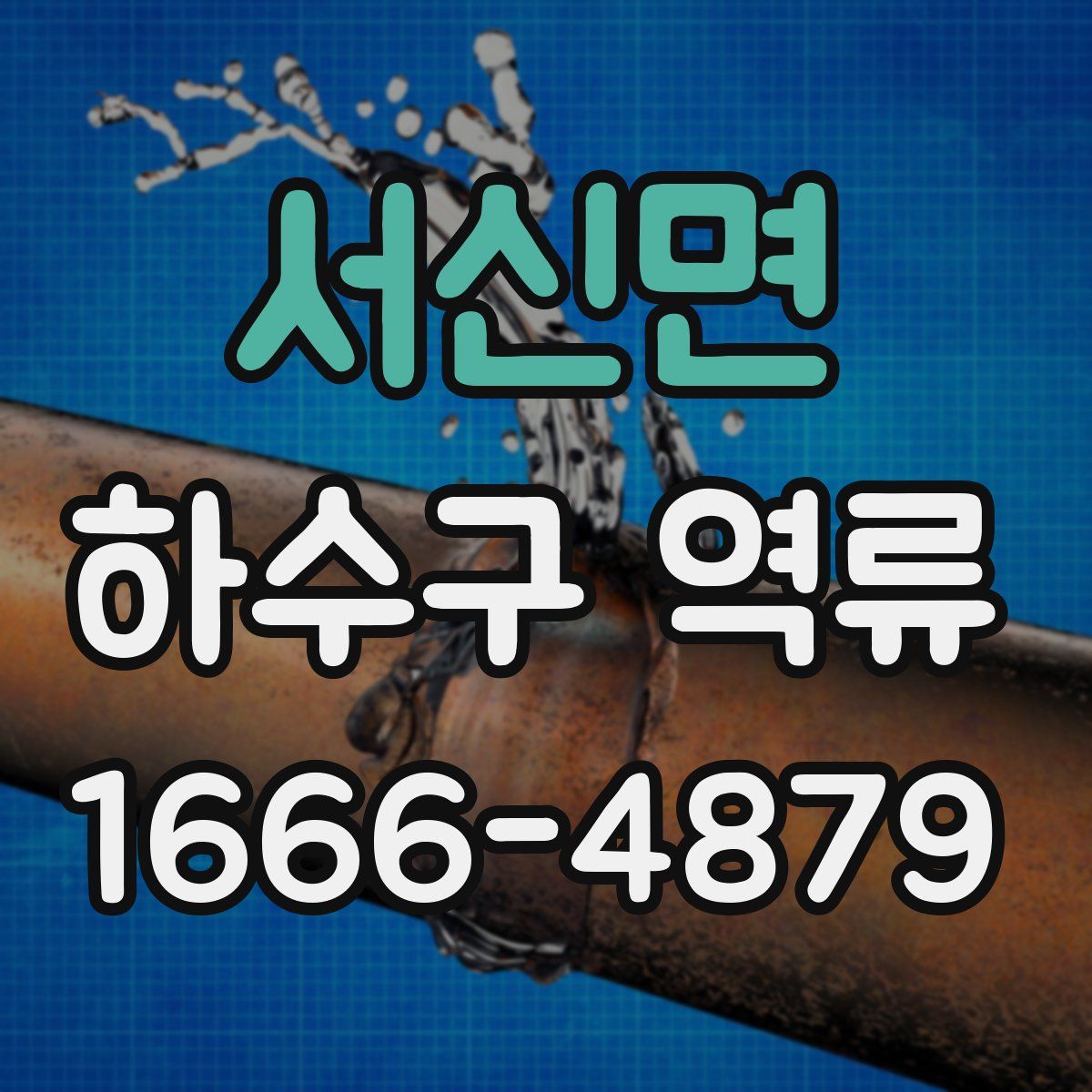 서신면 하수구 역류