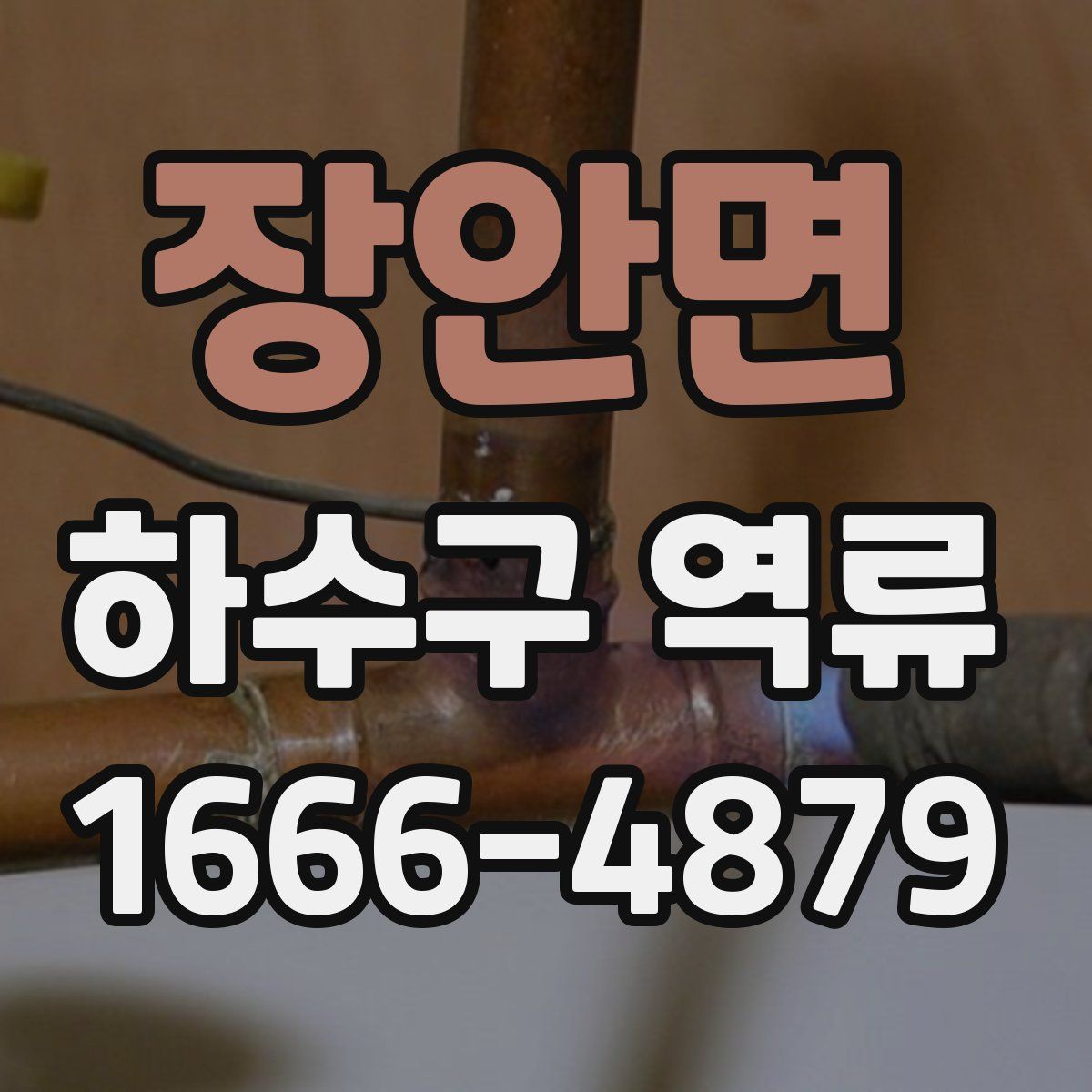 장안면 하수구 역류
