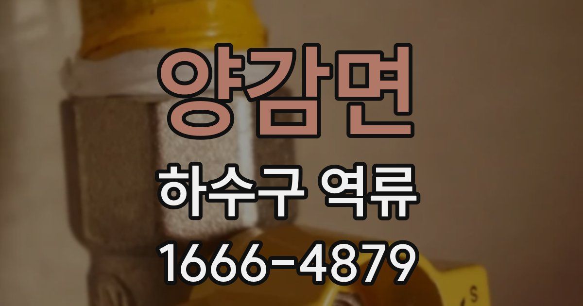 양감면 하수구 역류