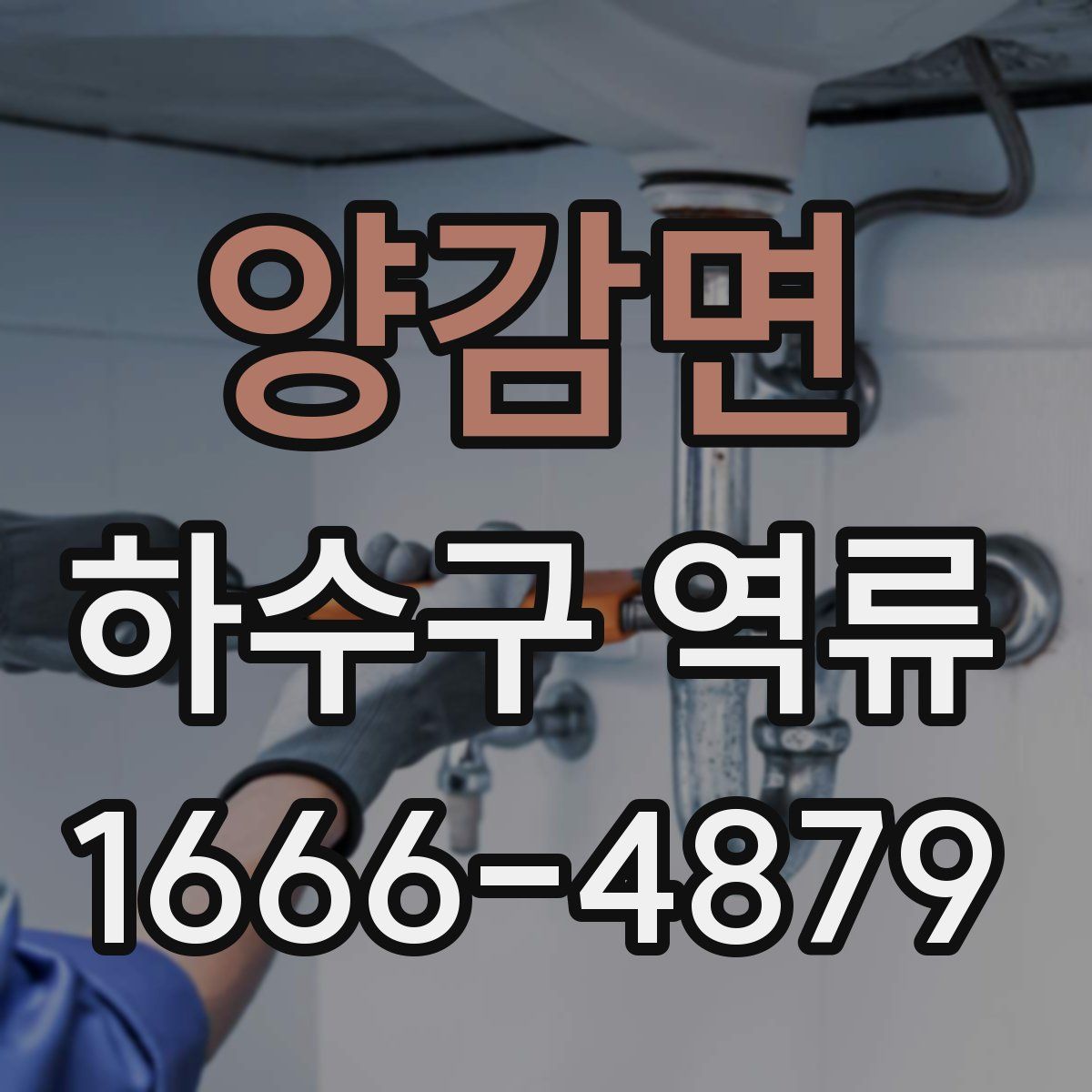 양감면 하수구 역류
