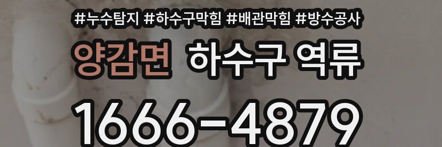 양감면 하수구 역류