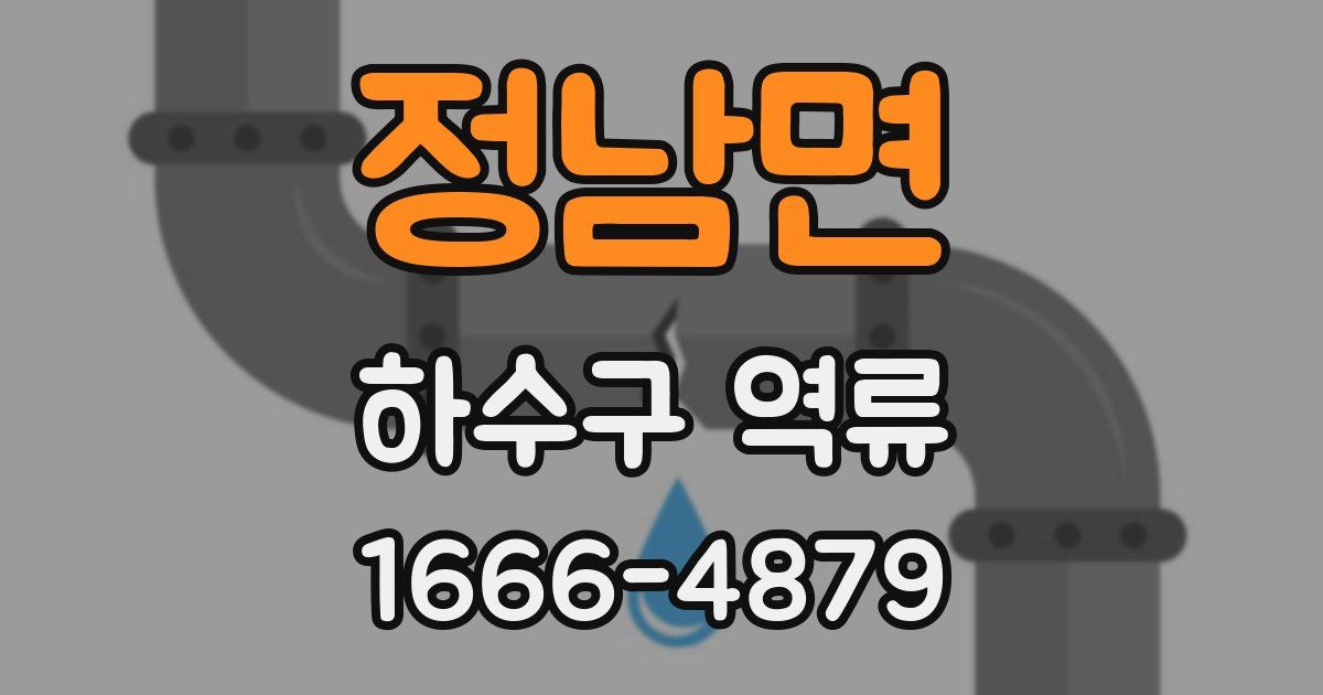 정남면 하수구 역류