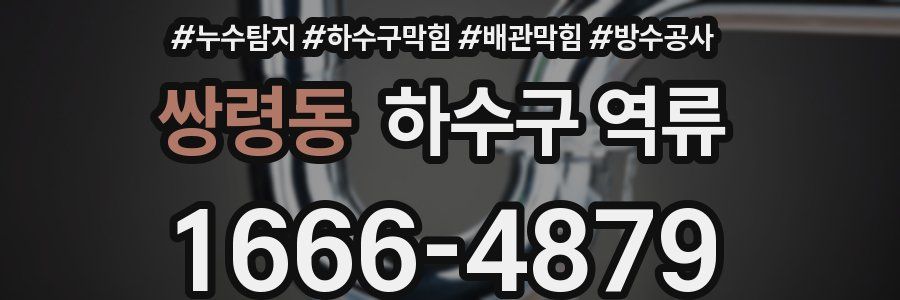 쌍령동 하수구 역류