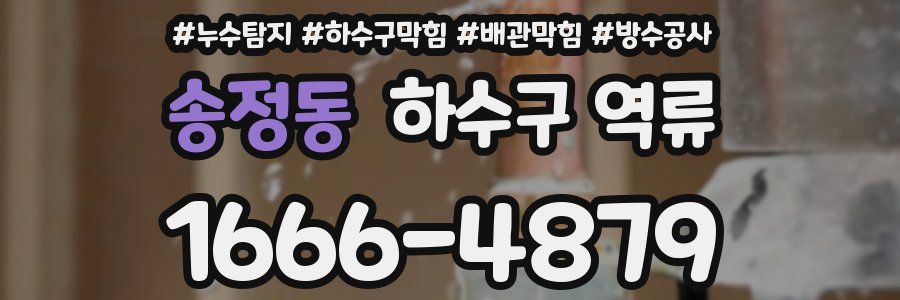 송정동 하수구 역류