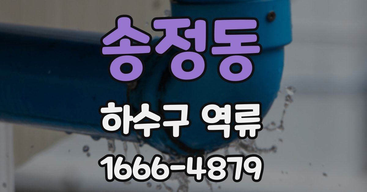 송정동 하수구 역류