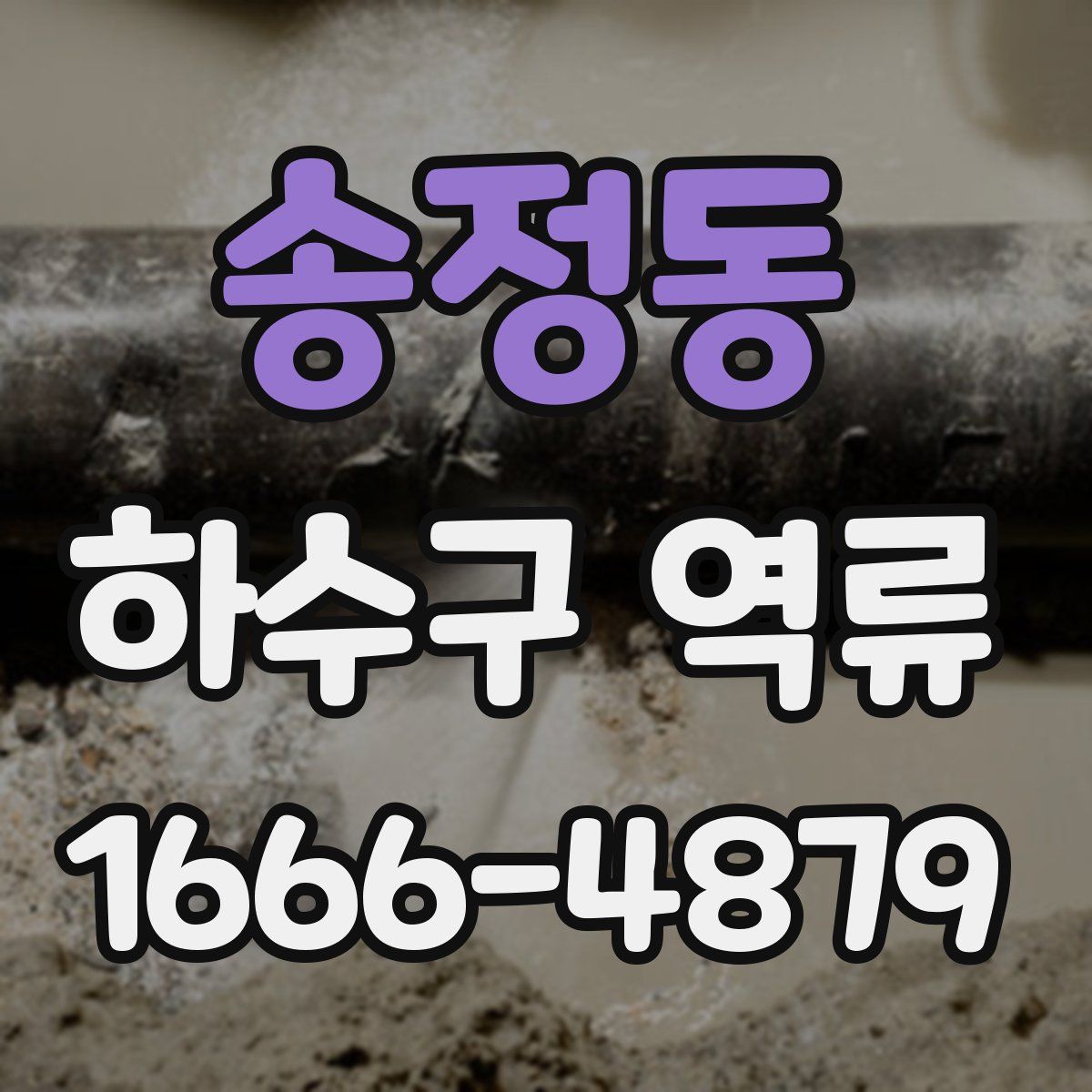 송정동 하수구 역류
