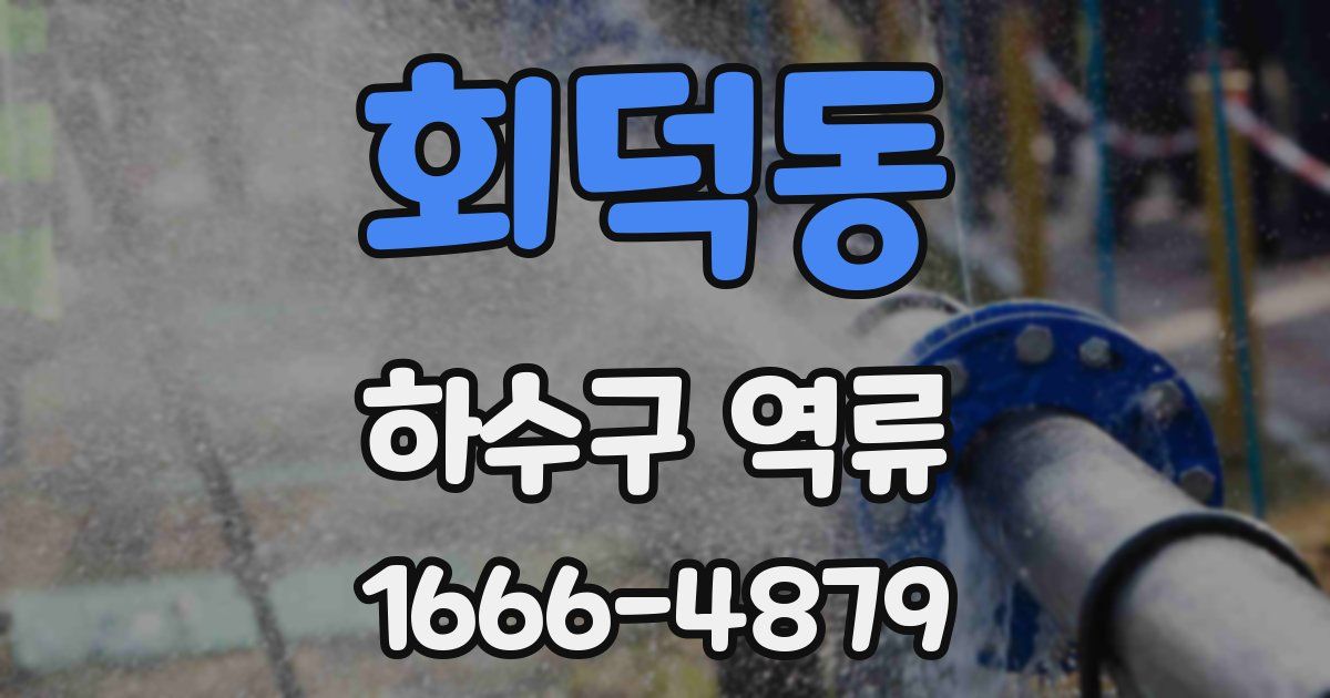 회덕동 하수구 역류