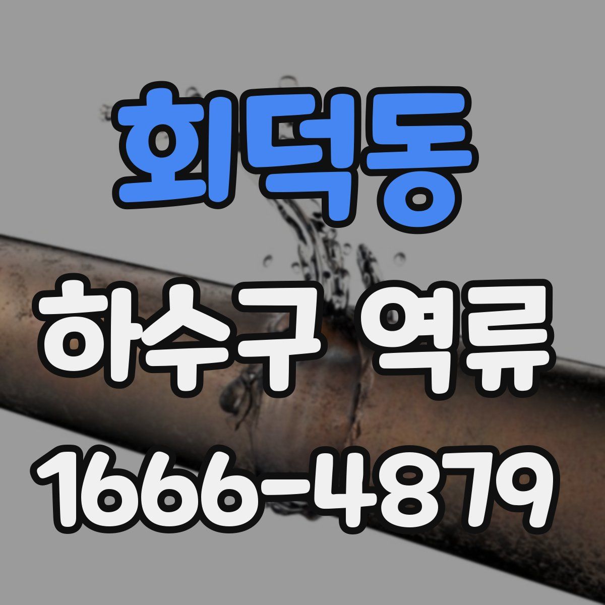 회덕동 하수구 역류