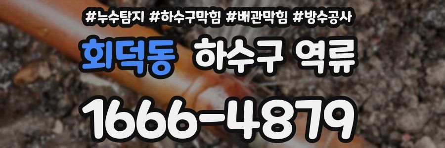 회덕동 하수구 역류