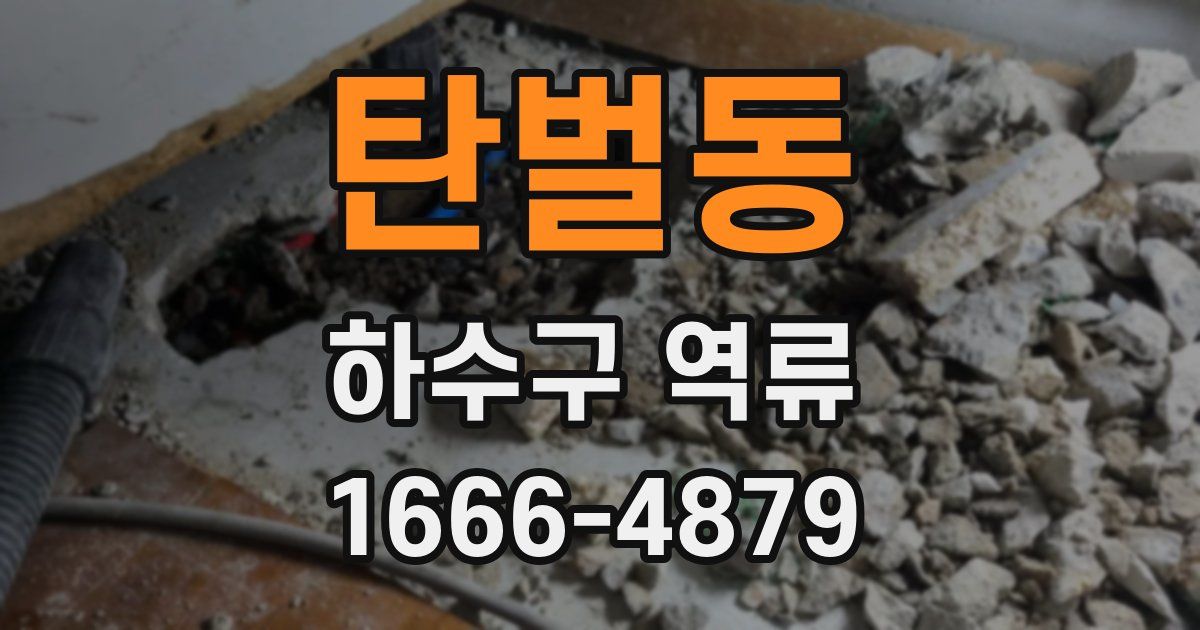 탄벌동 하수구 역류