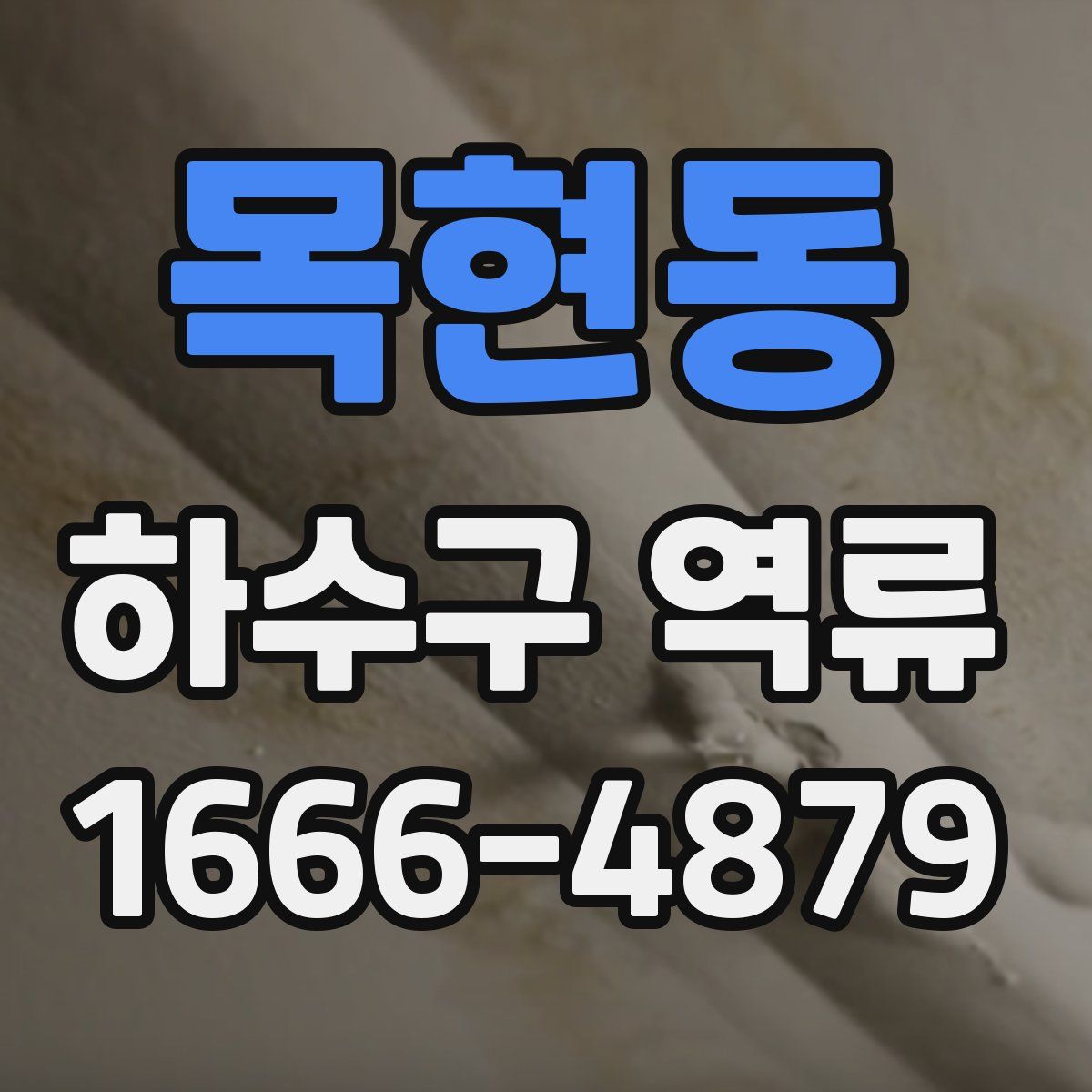 목현동 하수구 역류