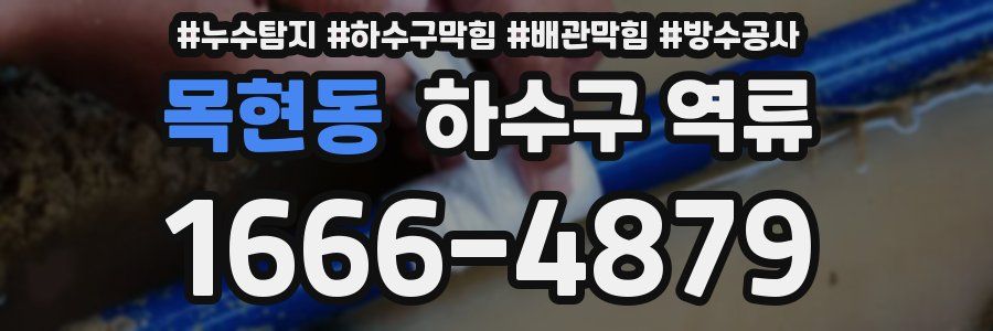 목현동 하수구 역류