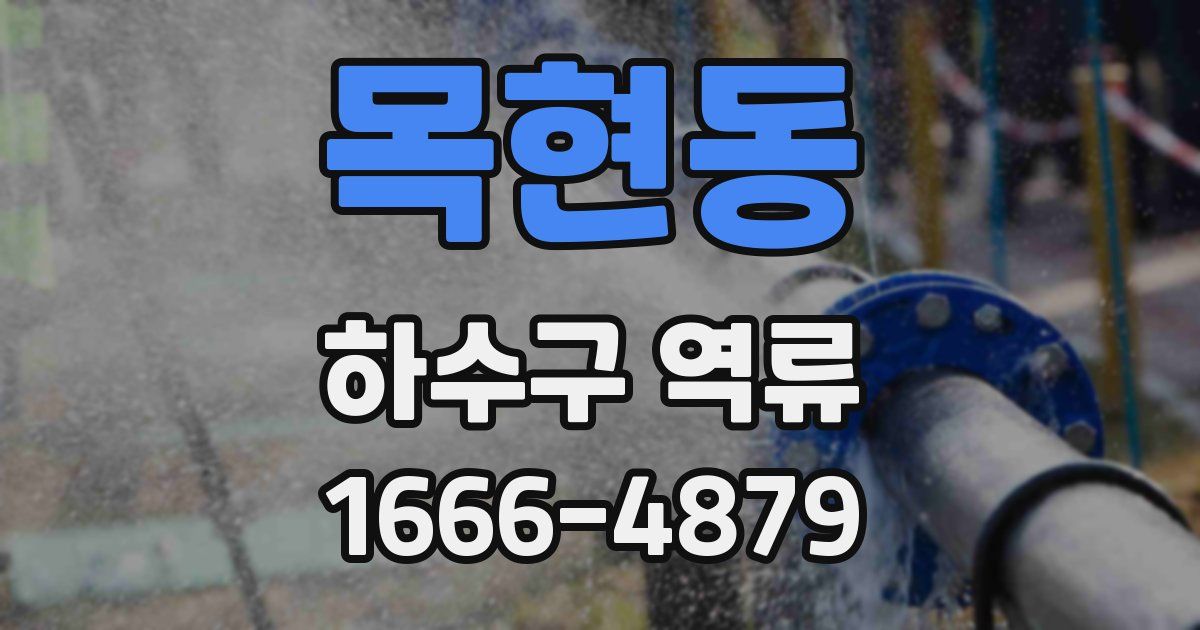목현동 하수구 역류